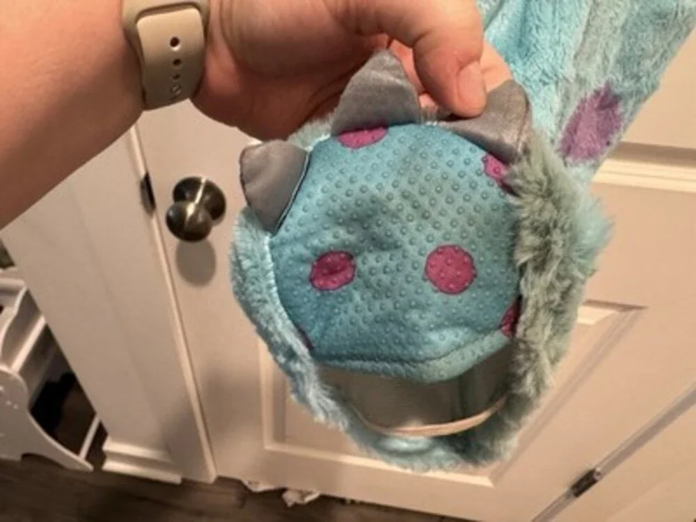 Spirit Disney Pixar Monsters Inc Sulley Toddler Hooded Costume 3T-4T